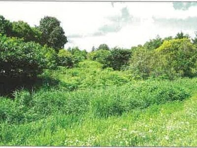 北海道江別市 大麻駅 土地 90万円の競売物件 #11