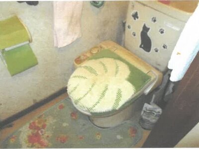 (値下げ) 茨城県常総市 三妻駅29分 戸建て 60万円の競売物件 #9