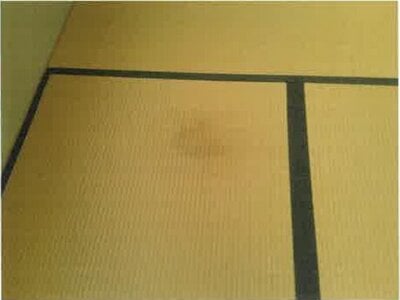 大阪府泉南郡岬町 淡輪駅14分 戸建て 1,076万円の競売物件 #10