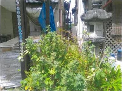 大阪府泉南市 新家駅9分 戸建て 599万円の競売物件 #2