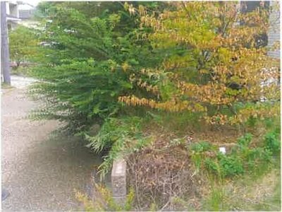 大阪府阪南市 箱作駅25分 戸建て 808万円の競売物件 #4