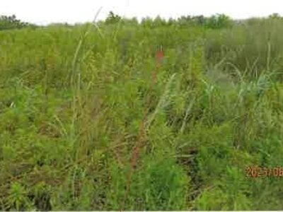 (値下げ) 大阪府和泉市 和泉中央駅 農地 25万円の競売物件 #2