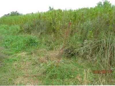 (値下げ) 大阪府和泉市 和泉中央駅 農地 25万円の競売物件 #3