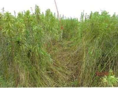 (値下げ) 大阪府和泉市 和泉中央駅 農地 25万円の競売物件 #4