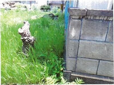 (値下げ) 和歌山県海草郡紀美野町 貴志駅27分 土地 181万円の競売物件 #3