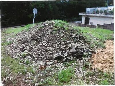 (値下げ) 和歌山県海南市 下津駅28分 土地 159万円の競売物件 #7