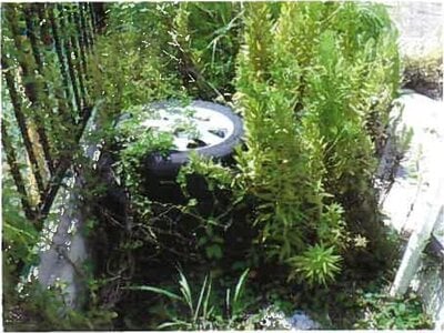 和歌山県和歌山市 八幡前駅8分 戸建て 741万円の競売物件 #2