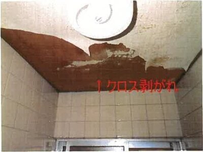 (値下げ) 和歌山県海南市 加茂郷駅7分 戸建て 110万円の競売物件 #19