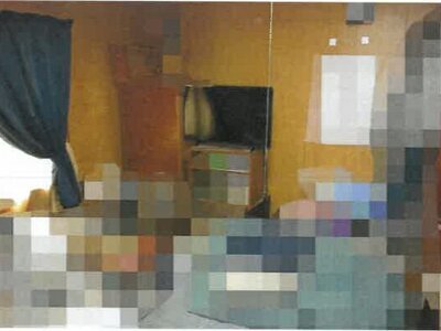 (値下げ) 岡山県倉敷市 新倉敷駅20分 戸建て 113万円の競売物件 #23