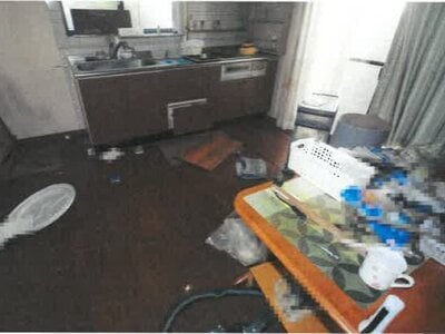 岡山県倉敷市 上の町駅 戸建て 316万円の競売物件 #8