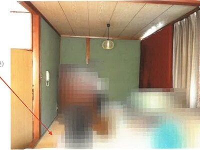 高知県南国市 住吉通駅8分 戸建て 241万円の競売物件 #23