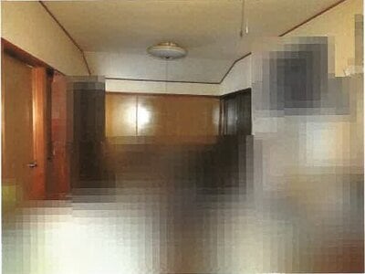 高知県南国市 住吉通駅8分 戸建て 241万円の競売物件 #24