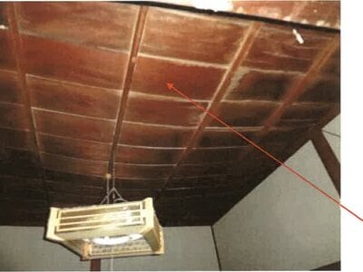 高知県南国市 介良通駅 戸建て 95万円の競売物件 #17