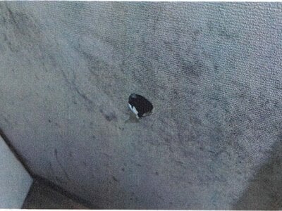 愛知県江南市 柏森駅 戸建て 352万円の競売物件情報 #9