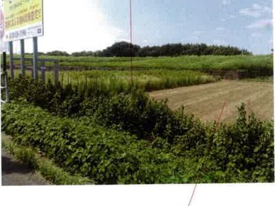 愛知県豊橋市 豊川駅 農地 102万円の競売物件情報 #2