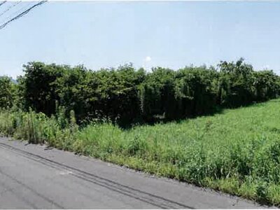 愛知県豊橋市 豊川駅 農地 104万円の競売物件情報 #4