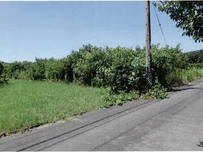 愛知県豊橋市 豊川駅 農地 104万円の競売物件情報 #5