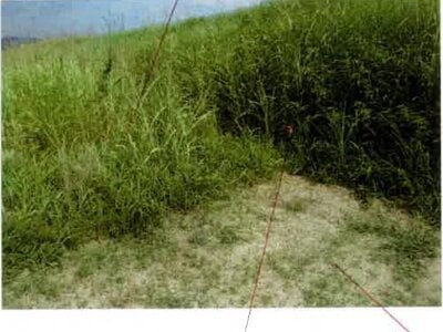 愛知県豊橋市 豊川駅 農地 40万円の競売物件情報 #3