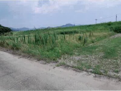 愛知県豊橋市 豊川駅 農地 40万円の競売物件情報 #6