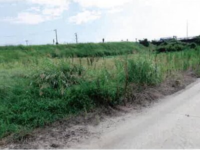 愛知県豊橋市 豊川駅 農地 40万円の競売物件情報 #7