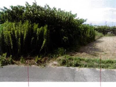 愛知県豊橋市 豊川駅 農地 79万円の競売物件情報 #3