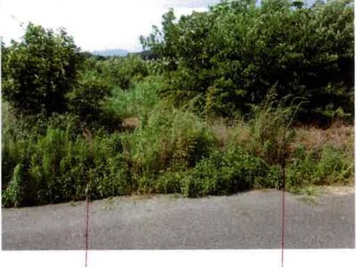 愛知県豊橋市 豊川駅 農地 79万円の競売物件情報 #4