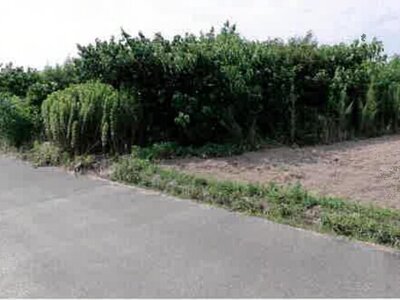 愛知県豊橋市 豊川駅 農地 79万円の競売物件情報 #6