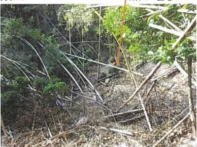 広島県呉市 安登駅29分 農地 110万円の競売物件情報 #23