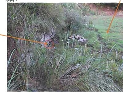 広島県呉市 安登駅29分 農地 110万円の競売物件情報 #7