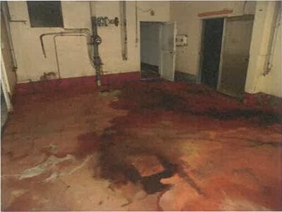 長崎県島原市 三会駅7分 戸建て 1,404万円の競売物件情報 #38