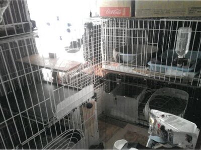 山形県山形市 羽前山辺駅22分 戸建て 659万円の競売物件情報 #8