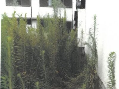 愛知県名古屋市中川区 伏屋駅24分 土地 1,078万円の競売物件情報 #11