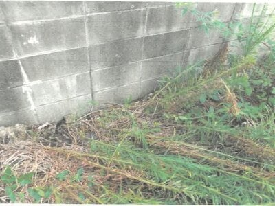 愛知県名古屋市中川区 伏屋駅24分 土地 1,078万円の競売物件情報 #13