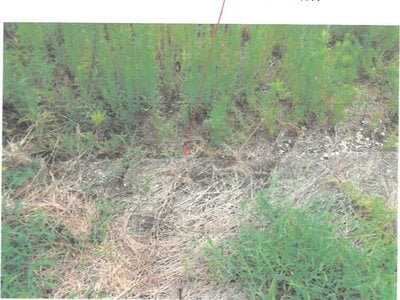 愛知県名古屋市中川区 伏屋駅24分 土地 1,078万円の競売物件情報 #15