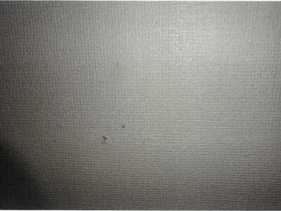 愛知県名古屋市緑区 名和駅10分 戸建て 1,670万円の競売物件情報 #7