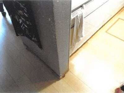 愛知県名古屋市南区 大高駅10分 戸建て 1,663万円の競売物件情報 #8