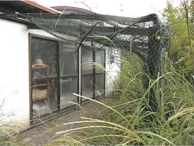 鹿児島県鹿児島市 高見橋駅 戸建て 204万円の競売物件情報 #5