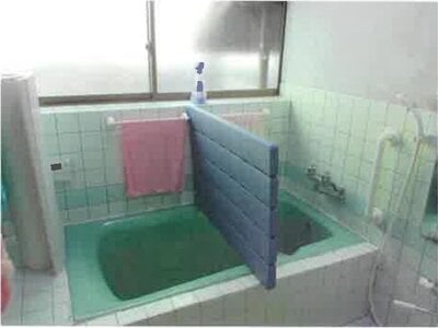 福島県田村郡三春町 要田駅 戸建て 54万円の競売物件情報 #12