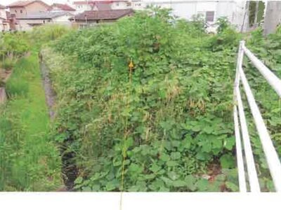 福島県郡山市 郡山富田駅 農地 115万円の競売物件情報 #3