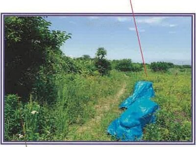 (値下げ) 山梨県西八代郡市川三郷町 市川大門駅14分 農地 29万円の競売物件情報 #11