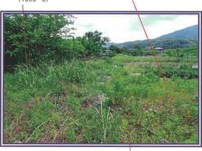 (値下げ) 山梨県西八代郡市川三郷町 市川大門駅14分 農地 29万円の競売物件情報 #13