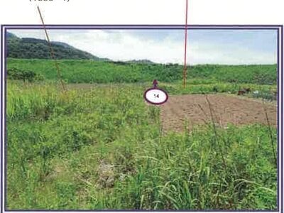 (値下げ) 山梨県西八代郡市川三郷町 市川大門駅14分 農地 29万円の競売物件情報 #15