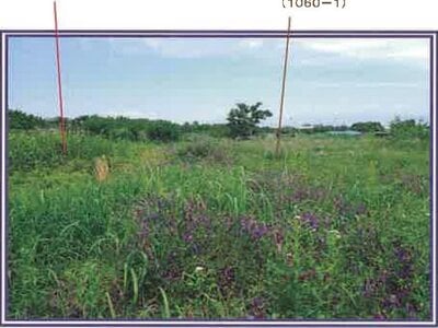 (値下げ) 山梨県西八代郡市川三郷町 市川大門駅14分 農地 29万円の競売物件情報 #17