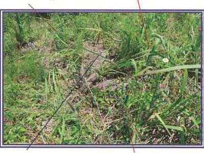 (値下げ) 山梨県西八代郡市川三郷町 市川大門駅14分 農地 29万円の競売物件情報 #18