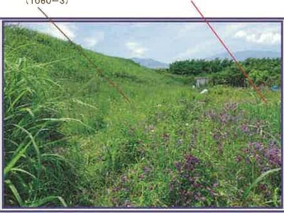 (値下げ) 山梨県西八代郡市川三郷町 市川大門駅14分 農地 29万円の競売物件情報 #9