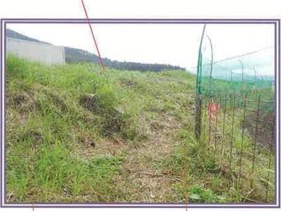 山梨県富士吉田市 葭池温泉前駅30分 農地 44万円の競売物件情報 #14