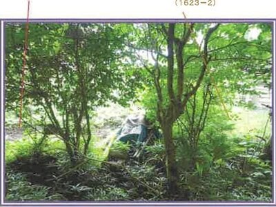 山梨県富士吉田市 富士山駅 農地 50万円の競売物件情報 #11