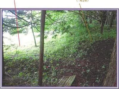 山梨県富士吉田市 富士山駅 農地 50万円の競売物件情報 #9