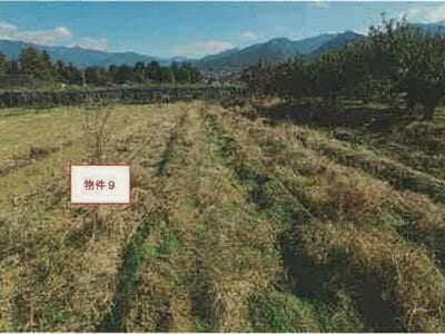 (値下げ) 山梨県笛吹市 山梨市駅 農地 59万円の競売物件情報 #3