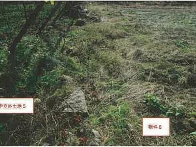 (値下げ) 山梨県笛吹市 山梨市駅 農地 59万円の競売物件情報 #9